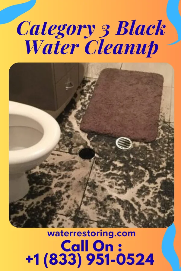 Category 3 Black Water Cleanup in Leigh, NE