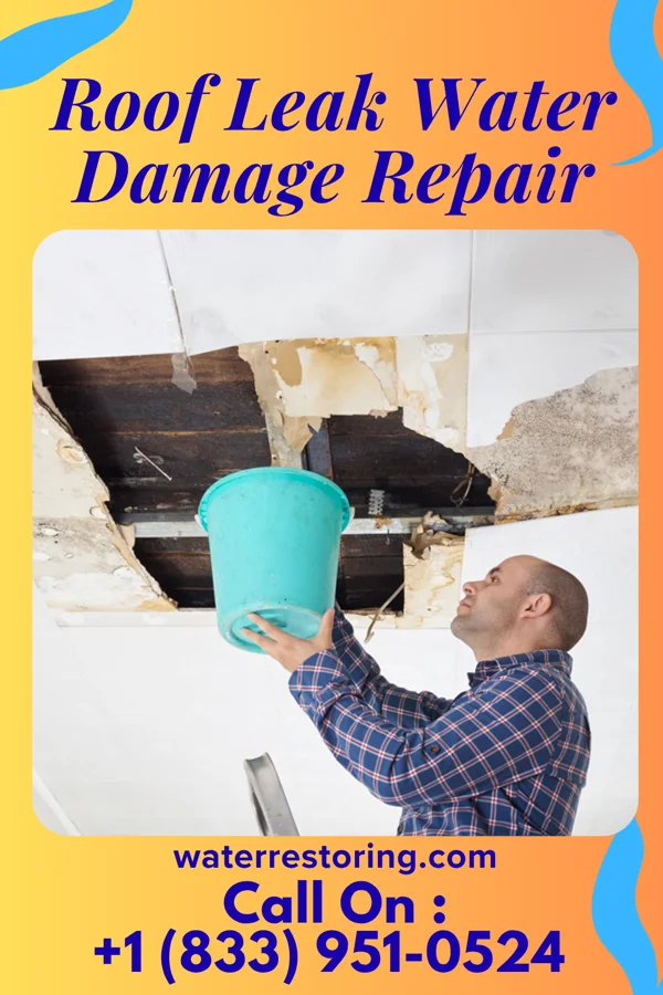 Roof Leak Water Damage Repair in Leigh, NE